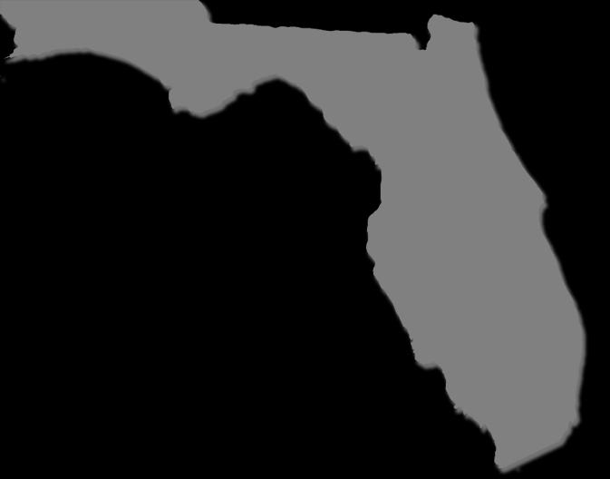 2014 FLORIDA YOUTH SUBSTANCE