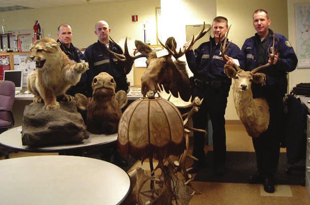 The suspect bought antlers from hunters without a proper license and then created antler art.