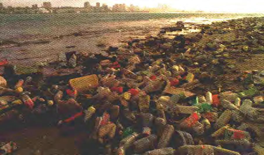Garbage All kinds of victual, domestic and operational waste excluding fresh fish and parts thereof, generated during the normal