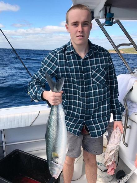 Salmon run continues Meanwhile Andy Ziepe has not only conned a mate into taking him salmon fishing in Geographe Bay, but has successfully cooked their catch in 4 different ways, all to his team s