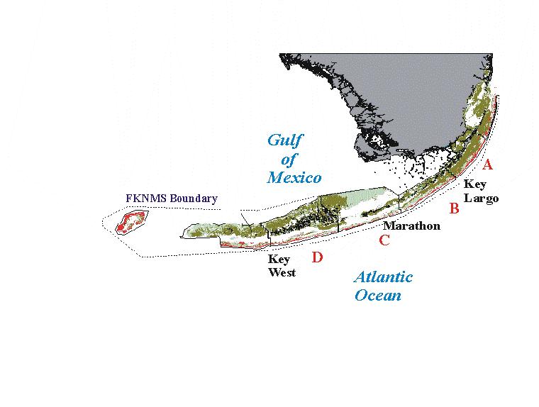 STUDY AREA Map of Fisheries-Independent Monitoring Program sampling