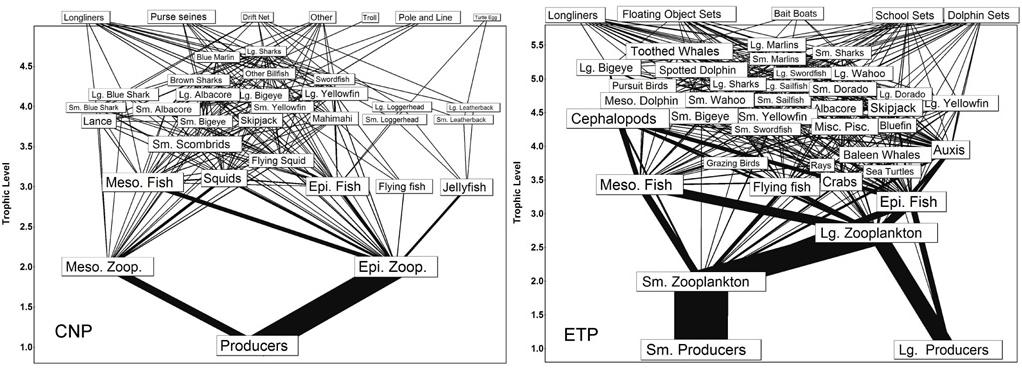 Eastern and Western Food Webs Hinke, J, I. Kaplan, K. Aydin, G. Watters, R. Olson and J. Kitchell. 2004.