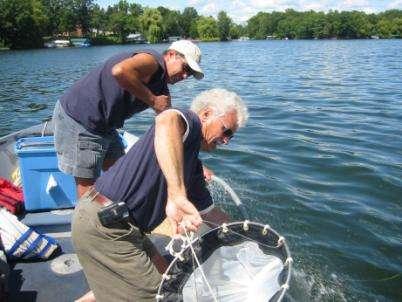 Survey Methods Spiny waterflea 250 micron mesh net Tow net behind the boat at trolling speed for