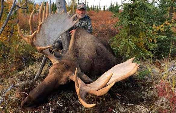 he secured 60+ moose, 8