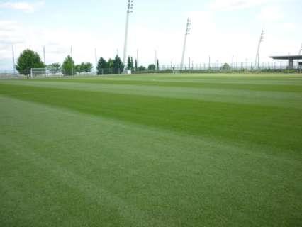 160m training complex 6 ½ natural pitches 4 ½ plastic pitches Paul Burgess Real Madrid CF 43,000m 2 of gardens (5 pitches worth) 17 teams