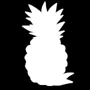 ONE PINEAPPLE MAY BE SELECTED BY THE JUDGE AND CUT POINTS WILL BE ALLOCATED ON THE FOLLOWING SCALE: PACKING AND PRESENTATION 50 SHAPE AND GRADING 30 COLOUR 20
