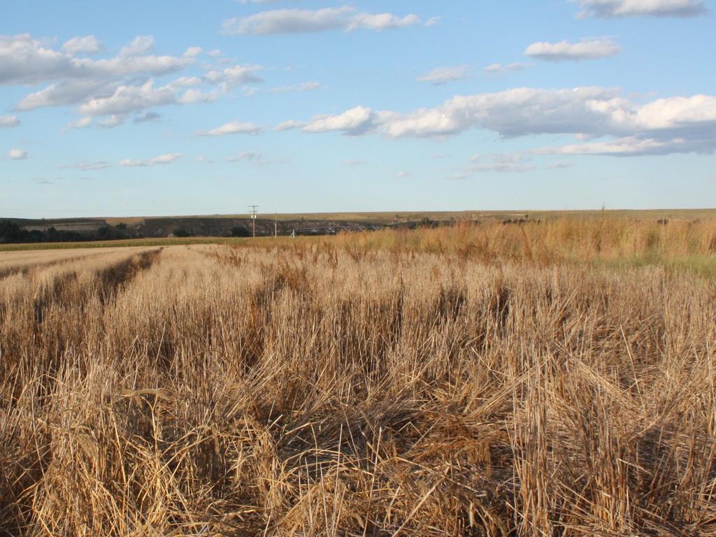 Southwest and South-Central Focus on Pheasants (FOP) Areas