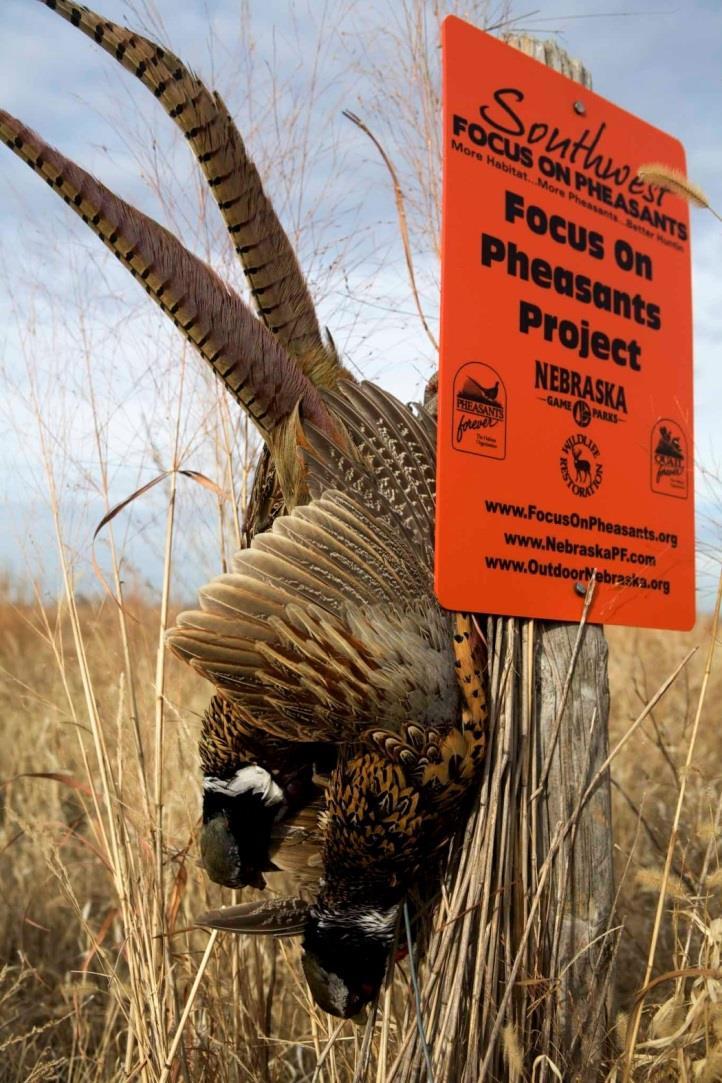 continue to provide additional hunting access opportunities
