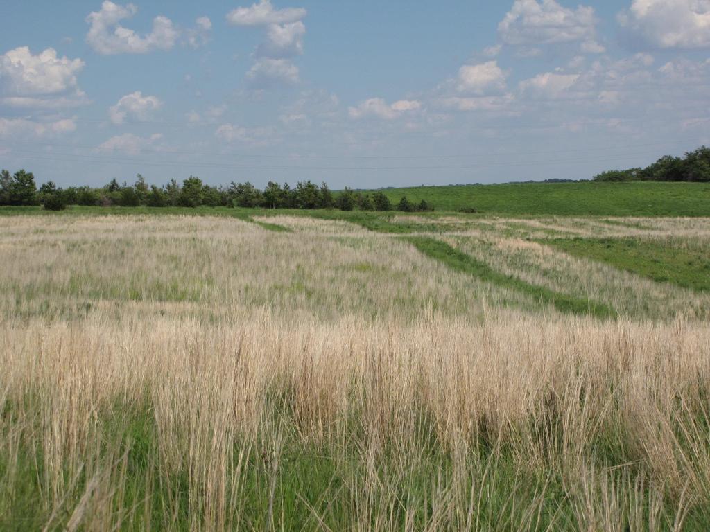 Northeast Pheasant Opportunity Area Establish new grassland habitat and