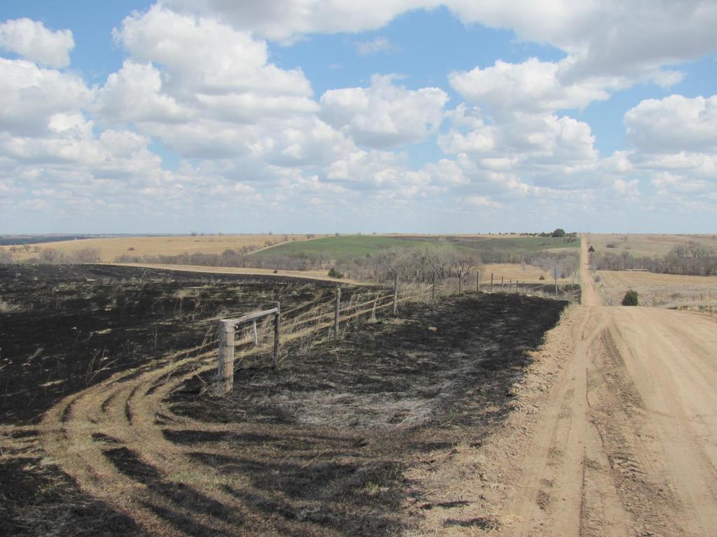 Southeast Pheasant Opportunity Area (POA) Grassland Restoration/Management Incentives Prescribed Fire $10/ac not to exceed 160 acres Invasive Tree Removal Up to $300/ac Requires 25% LO contribution