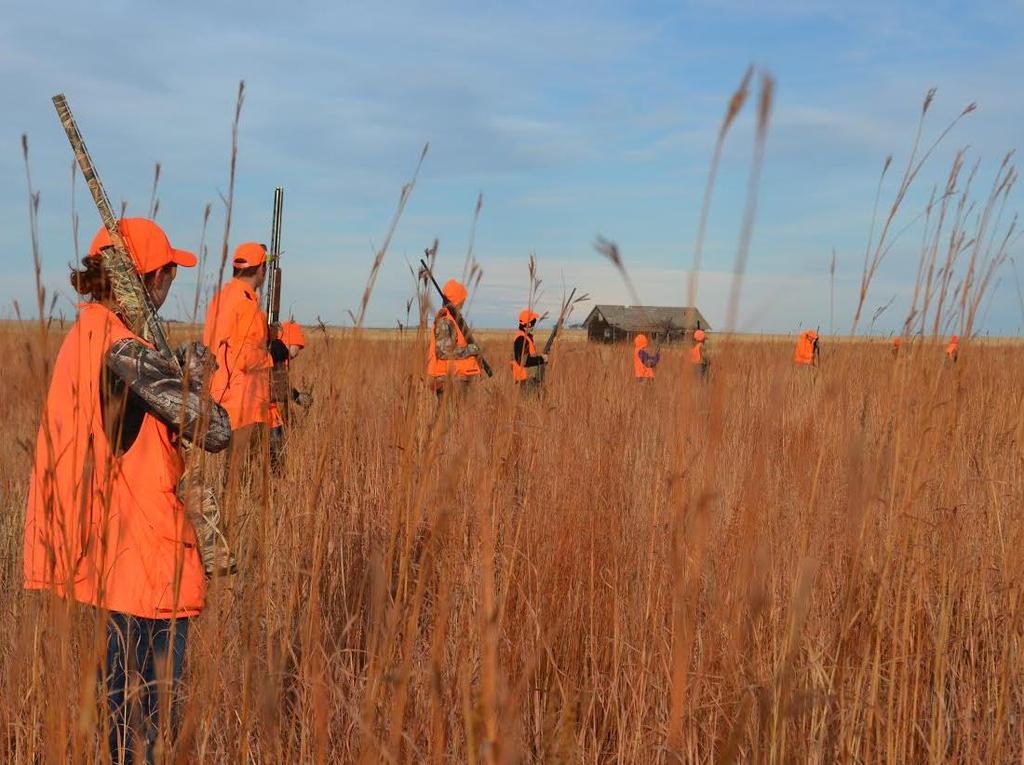 $502 million/year for pheasant hunting nationally Economic Impact per Rooster Harvested: $68/rooster (R) $118/rooster