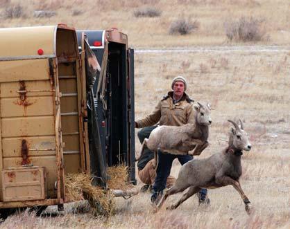 Much of this comes from hunting license sales which totaled approximately $725 million nationwide in 2006, and is a primary funding source for most state fish and wildlife agencies.