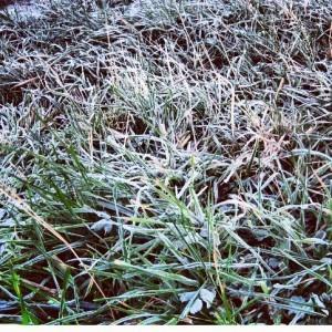 Golf Frost Delay Explained Every year in late fall golfers inevitably rush to the courses to get in their last few rounds of the year, only to end up sitting in the club house waiting out a lengthy