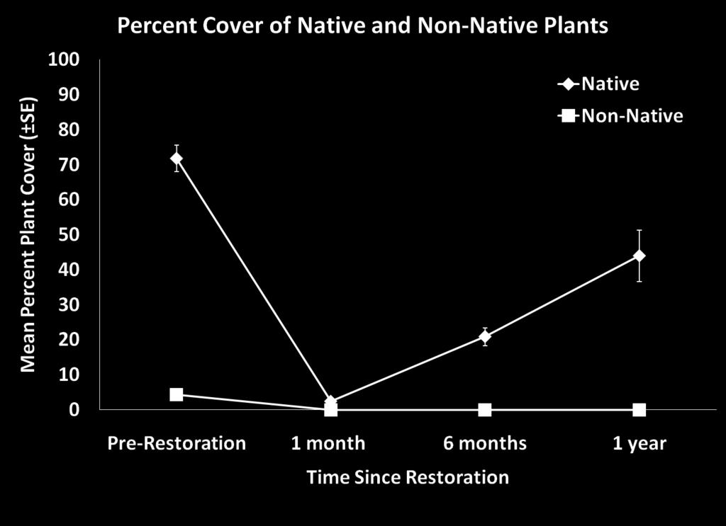 Native plants- 5% @ 6