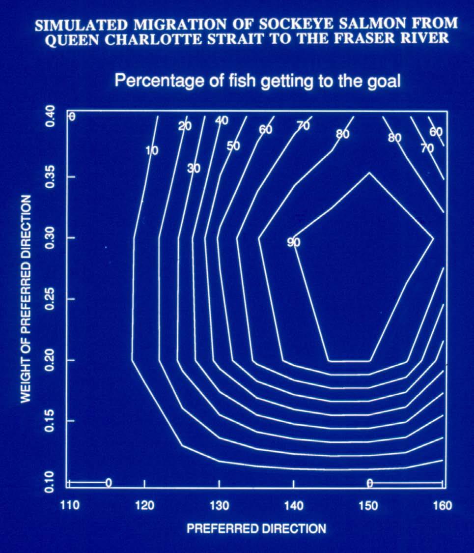The highest proportion of simulated fish migrated successfully when they were programmed with a moderate