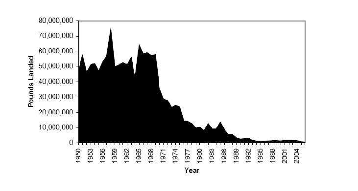 Population Status Pounds of River Herring Landed 1950-2004