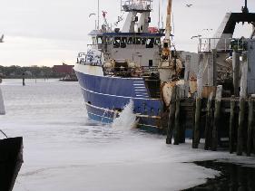 Massachusetts Division of Marine Fisheries Technical Report: A Survey of Anadromous