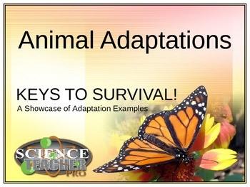 real animal adaptations.