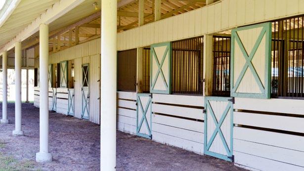12 Horse Stalls,