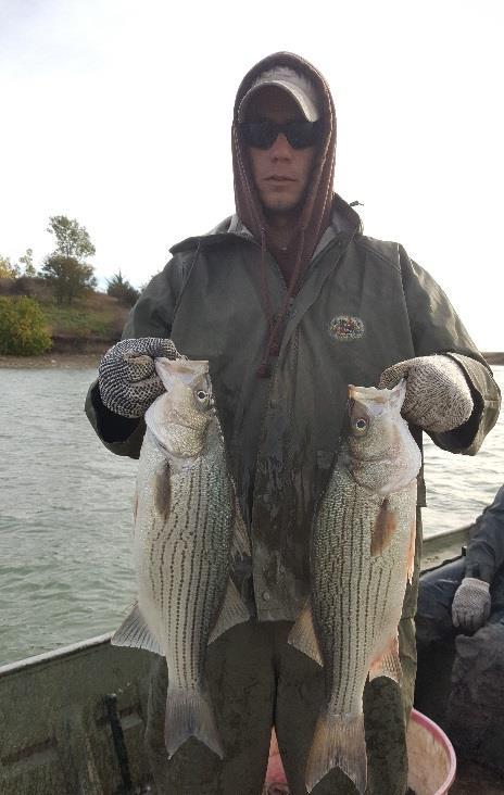 Lake Shawnee State Fishing 