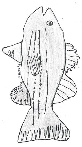 The Wiper What fish is light gray? The Wiper! The wiper has a gray body and 6 to 8 horizontal broken stripes on its body. The Wiper has a superior mouth. It eats bugs and crustaceans.