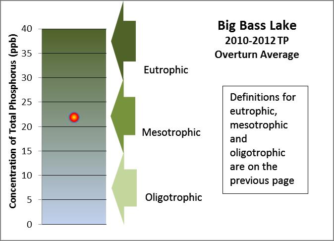 Big Bass Lake Water Quality Phosphorus is a major nutrient that can lead to excessive algae and rooted aquatic plant growth in lakes.