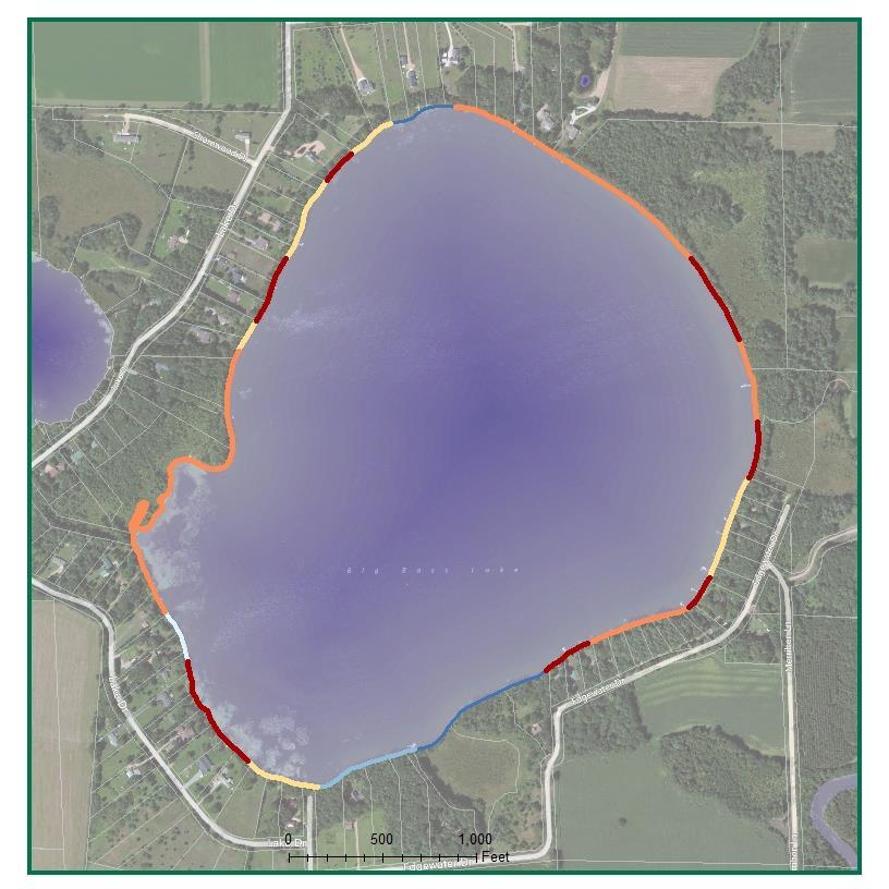 Big Bass Lake Shoreland Vegetation Shoreland vegetation is critical to a healthy lake s ecosystem.