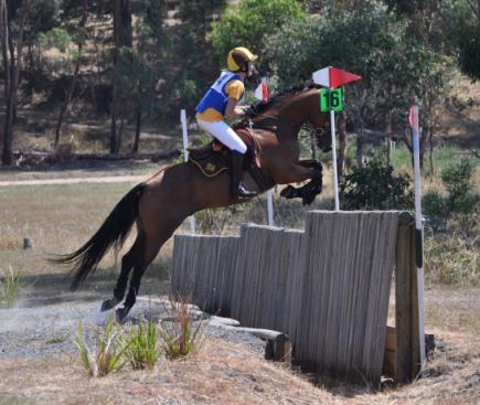 Danielle Wright competing at State Horse Trials Congratulations to Danielle Wright who has qualified to compete at the PCAV State Horse Trials Championships to be held at Deniliquin Pony Club on the