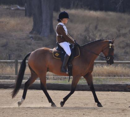 This is a three-phase competition of dressage, cross-country and show jumping for Grade 1 and 2 riders.