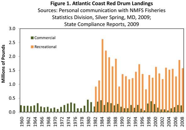 since the 1880s. Since 1960, landings have fluctuated around 220,000 pounds, with a high of 440,445 pounds in 1980 and a low of 54,748 pounds in 2004 (Figure 1).