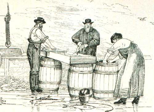 barrels of alewives annually C.