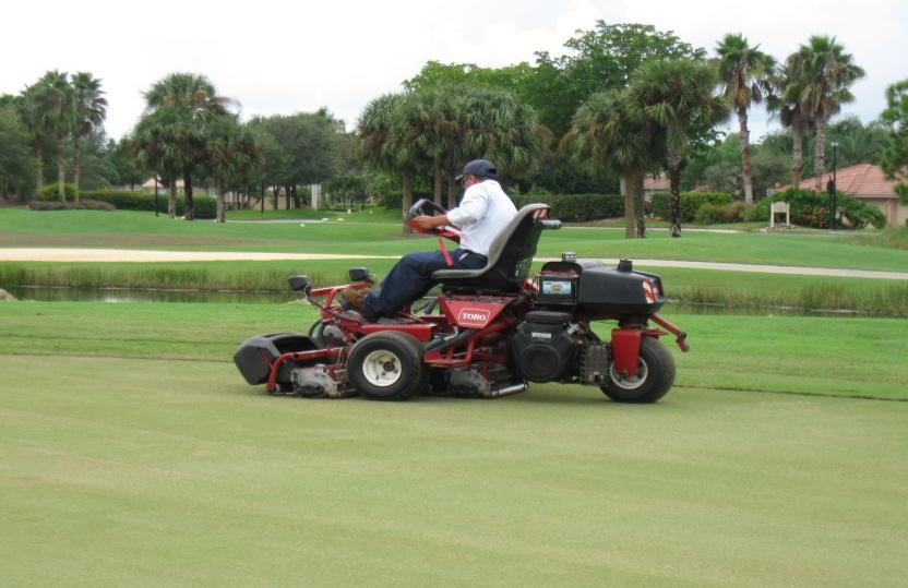 mentioned previously, the greens will be topdressed following aerification.