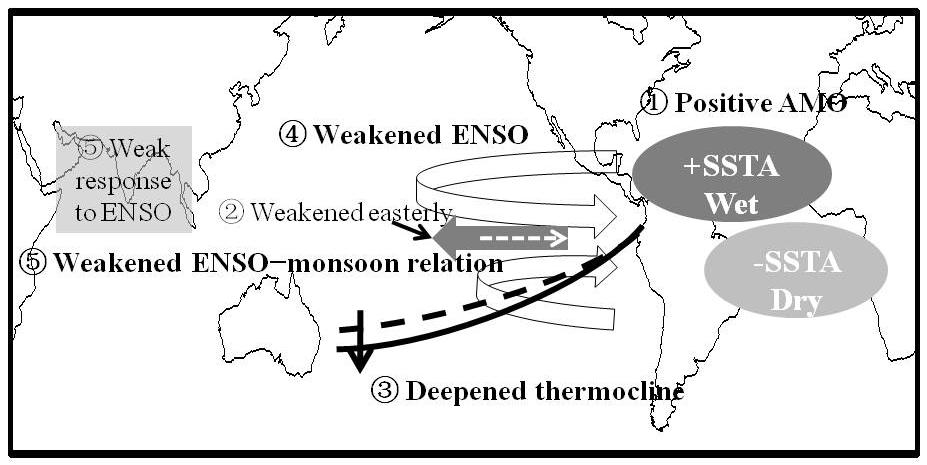 Figure 10. The schematic diagram of the major elements of the mechanism by which the AMO modulates the ENSO South Asian monsoon relationship in HadCM3.