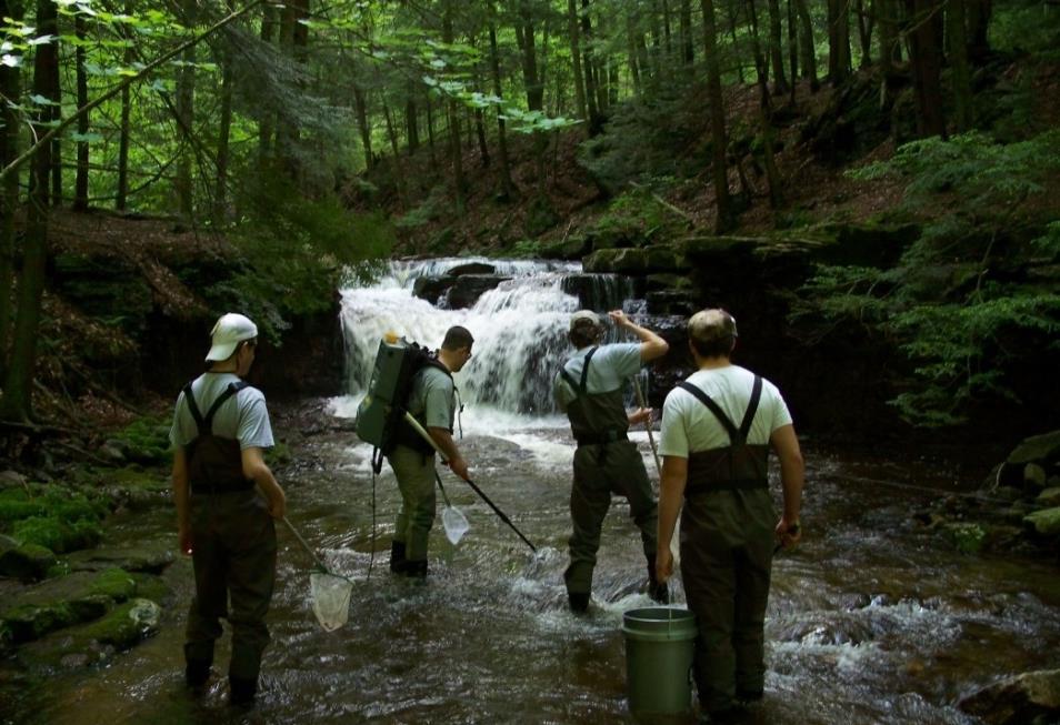 - Approximately 20 % are dry, gullies, lack flow - Many located outside native range of trout Combine