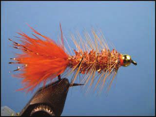 Page 5 Fly of the Month - Chili Pepper Fly Bead: Cyclops bead, brass Body: Tinsel chenille Hook: 3 or 4 x streamer hook Horns: White Goose Biots Rib: Saddle hackle brown or ginger Tail: Burnt orange