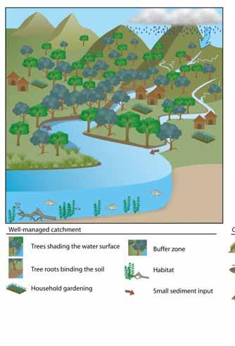 Adaptations (food security) Manage catchments and coastal fish habitats L L L W W L W W 2050 A2 Ask Healthy coral reefs, mangroves and