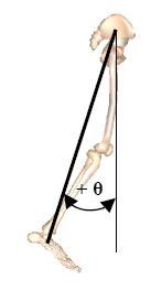 Figure 6-2. Illustration of variables used in the study Kinematic and Kinetic profile is illustrated from one step during walking for an individual participant.