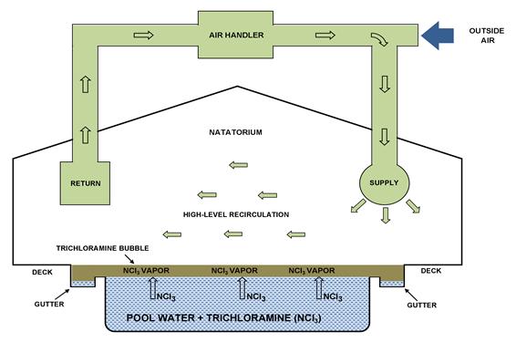 Typical Indoor Pool A New Way to Deal with Trichloramine and Other DBPs Don t fight it - use trichloramine s characteristics to get rid of it Characteristics of Trichloramine Doesn t mix with water