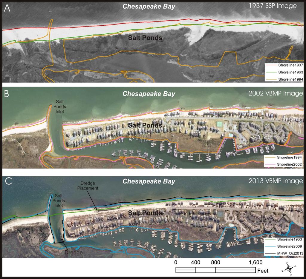 Figure 4. Images from VBMP and the SSP Shoreline Evolution Database. Shorelines digitized by SSP for the Shoreline Evolution Database.