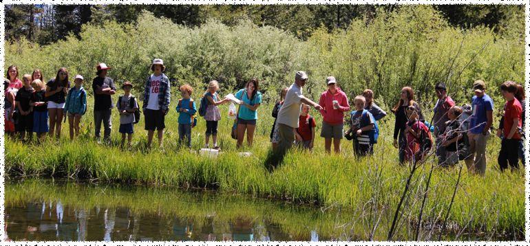 TIC Goals Connect students to their local watershed Teach about water