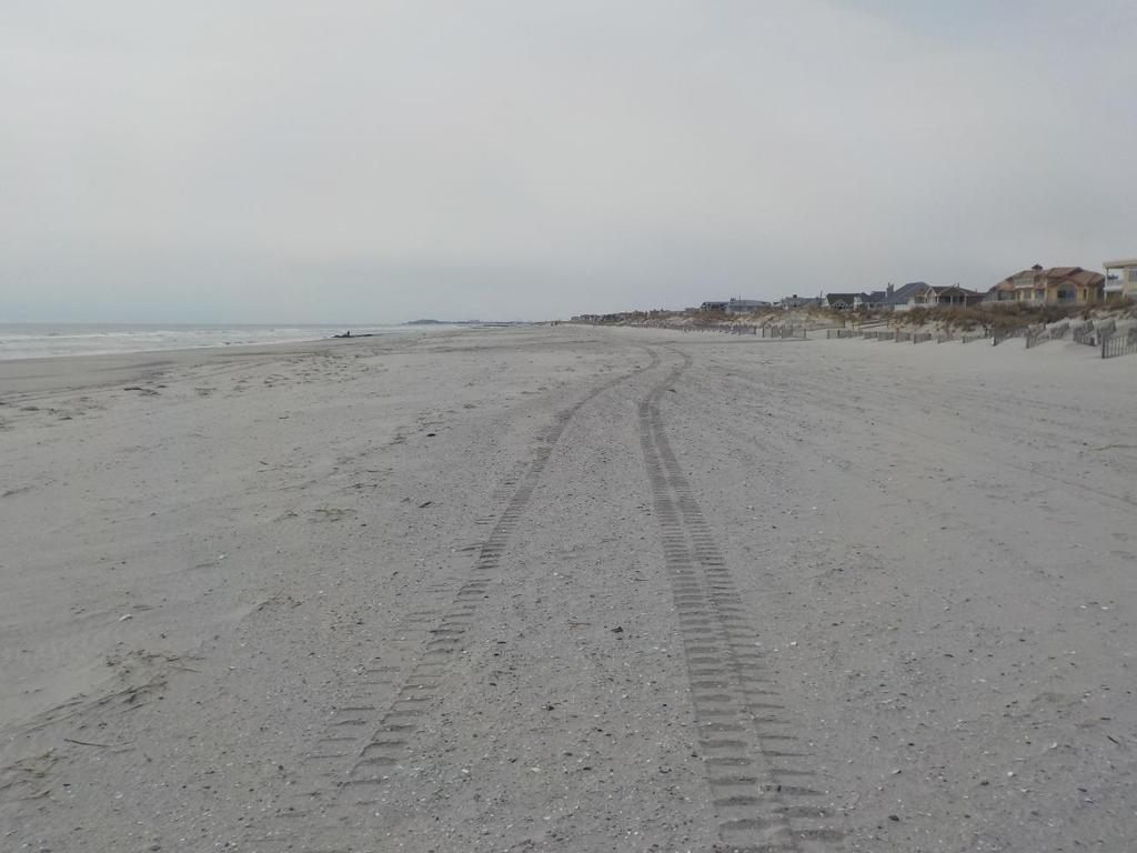 50 feet of the dune toe, but no dune erosion.