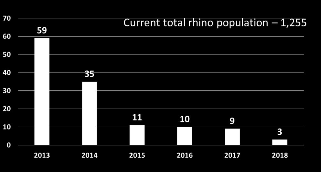 Rhino poaching trend
