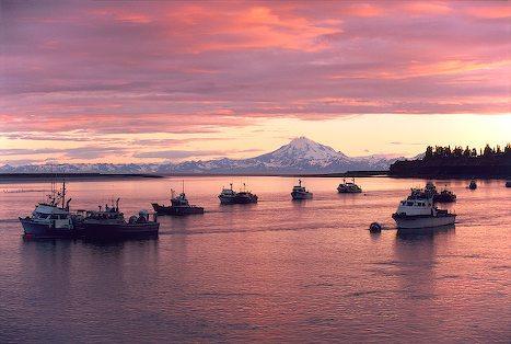 Cook Inlet Resources: Commercial Fisheries Fisheries: federal and state managed harvests such as salmon drift gillnet, pot cod fishing, and halibut longlining NOAA Fisheries has identified Essential