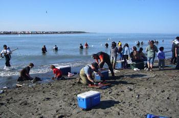 Cook Inlet Resources: Subsistence /