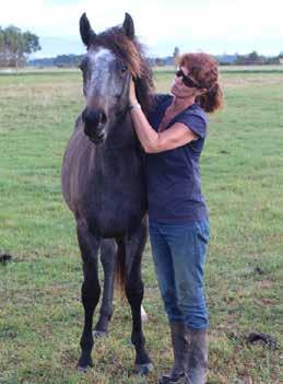 KHH Heather 3yo, 13hh, Mare Heather came from the 2014 muster, she is just a tiny mare, around 13hh and was heavily in-foal. She is only 3yrs old so this was her first foal.