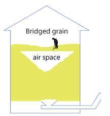 Grain bridges when moldy, high in moisture, or when in poor condition Kernels