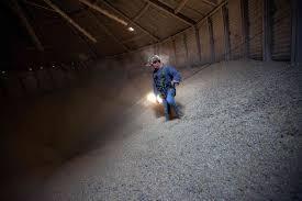 Walking Down Grain or similar practices where an employee walks on grain to make it flow within or out