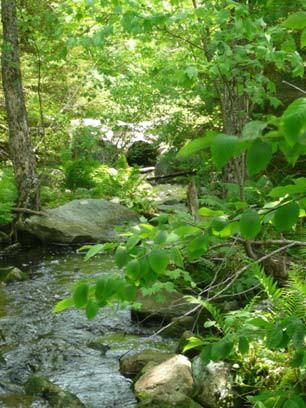 Results: No changes were observed at Ash Bog Stream following construction.