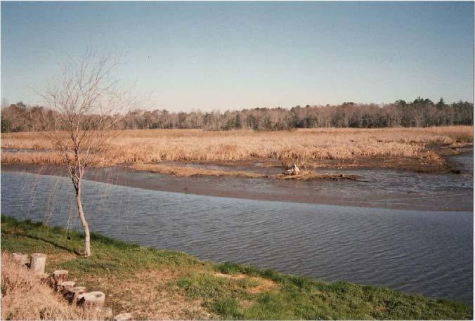 1) In 1995, this marsh extended very close to a house located on the water in mouth of the
