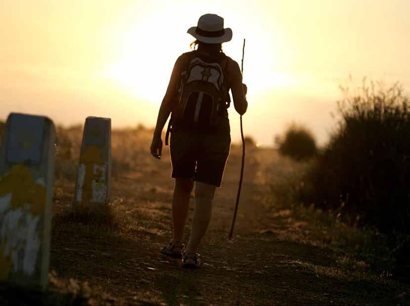 MAY 2017 Walking one of Europe s favourite routes A week on the CAMINO de SANTIAGO 2017 20 years from now you will be more disappointed by the things that you didn t